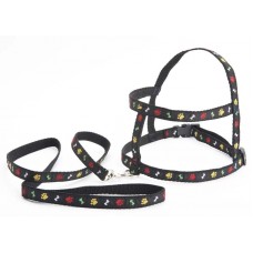 117214 - CJ GUIA PEITORAL PATA OSSO N 3