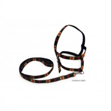 115551 - CJ GUIA PEITORAL AMERICANO BORDAD N5