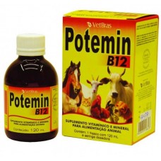 115874 - POTEMIN B12 120ML