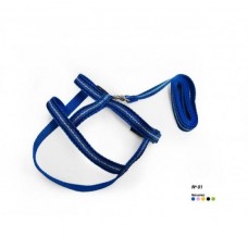 115555 - CJ GUIA PEITORAL TURIN BRILHO N 2