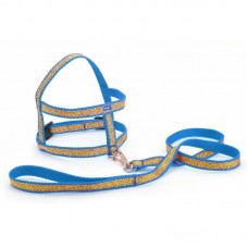 16970 - CJ GUIA PEITORAL TURIN BRILHO N 1