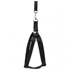 10891 - CJ.GUIA/PEIT.AMERIC.MED.PORTE GDE. PRETO