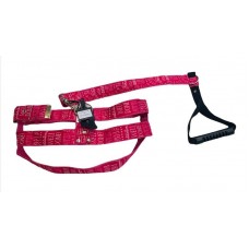 16084 - CJ.GUIA/PEIT.LUXO.GD.PORTE 40MM-N 8