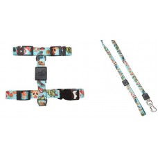 21708 - CONJ.GUIA PEITORAL H.CAVEIRA (P)