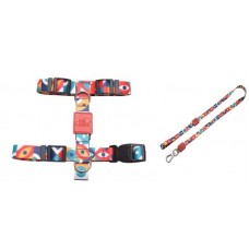 21718 - CONJ.GUIA PEITORAL H.ABSTRATO (M)