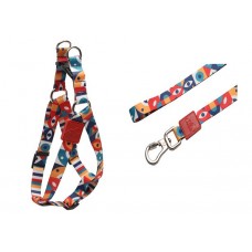 21700 - CONJ.GUIA PEITORAL AMERIC.ABSTRATO (M)