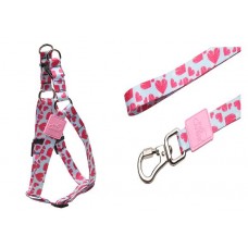 21666 - CONJ.GUIA PEITORAL AMERIC.LOVE (P)