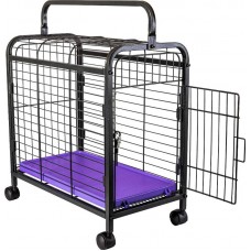 23978 - TRANSPORTE LEVA PET BLACK/LILAS