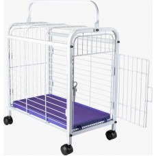 23975 - TRANSPORTE LEVA PET BRANCO/LILAS