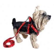 17657 - CJ GUIA E PEITORAL SEDA AMERIC N.3 PRO