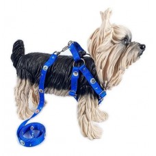 17659 - CJ GUIA E PEITORAL SEDA AMERIC N.5 PRO