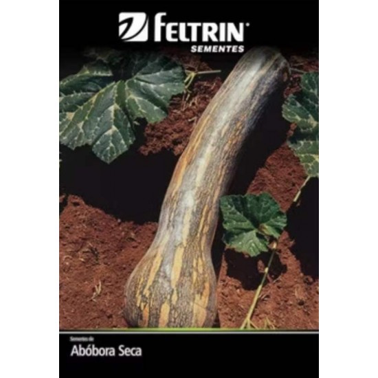 SEMENTE ABOBORA RAJADA SECA 25X 1,2