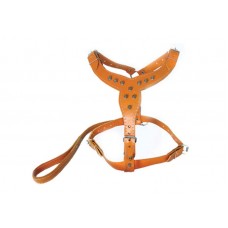 0443 - PEITORAL DE COURO C/ GUIA EM ¨ Y ¨-10060