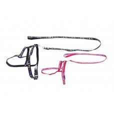 0350 - GUIA/PEIT. NYLON OSSO/PATA N 2