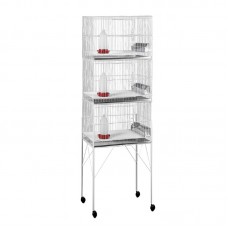 4809 - PINTEIRO MENOR 3 COMPART.-R.23B-LONDRINA